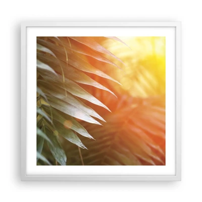 Poster in white frmae - Morning in the Jungle - 50x50 cm