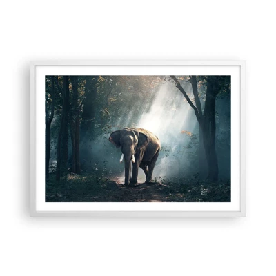 Poster in white frmae - Quiet Stroll - 70x50 cm
