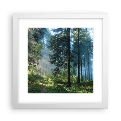 Poster in white frmae - Radiant at Dawn - 30x30 cm