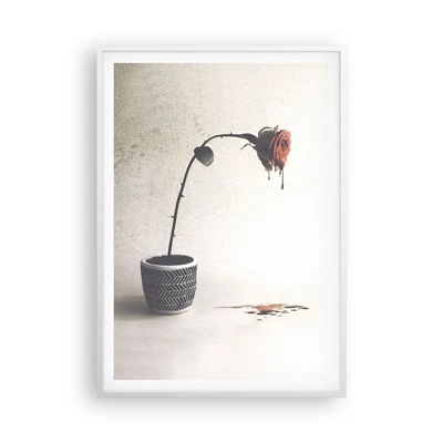 Poster in white frmae - Rosa Dolorosa - 70x100 cm