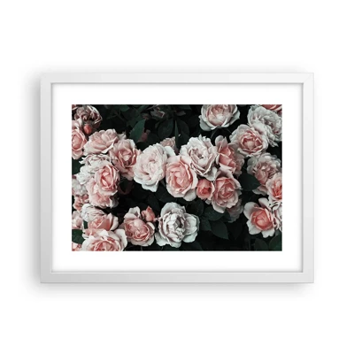 Poster in white frmae - Rose Ensemble - 40x30 cm