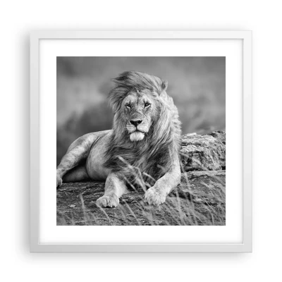 Poster in white frmae - Royal Siesta - 40x40 cm