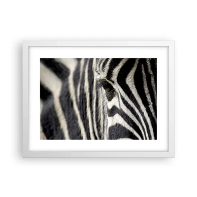 Poster in white frmae - Striped Portrait - 40x30 cm