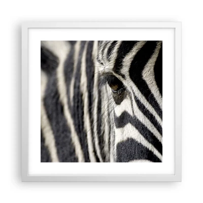 Poster in white frmae - Striped Portrait - 40x40 cm