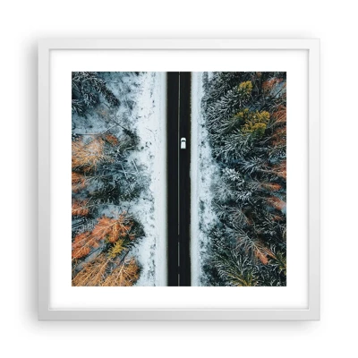 Poster in white frmae - Through a Wintery Forest - 40x40 cm