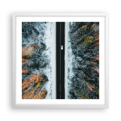 Poster in white frmae - Through a Wintery Forest - 50x50 cm