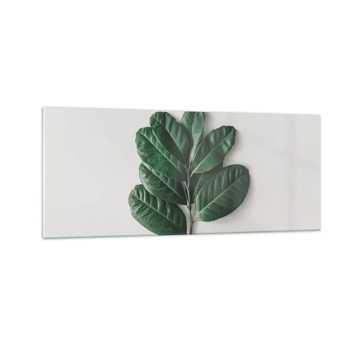 Glass picture  Arttor 100x40 cm - Drawing of Nature Itself - Leaves, Plant, Nature, Green Leaf, Botany, For living-room, For bedroom, White, Green, Horizontal, Glass, GAB100x40-4956