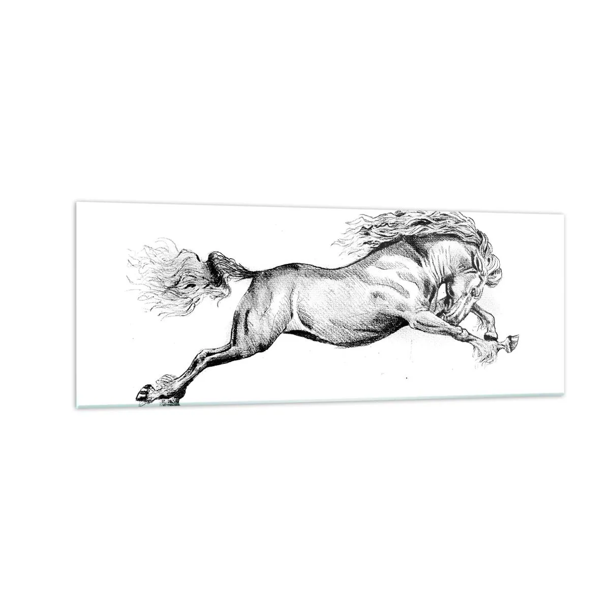 Glass picture  Arttor 140x50 cm - Stopped at a Gallop - Horse, Animals, Graphics, Black And White, Jump, For living-room, For bedroom, White, Black, Horizontal, Glass, GAB140x50-4906