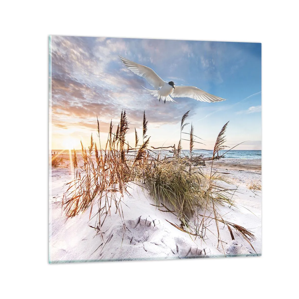 Glass picture  Arttor 60x60 cm - Wind from the Sea - Sea, Beach, Dune, Seagull, Nature, For living-room, For bedroom, White, Brown, Horizontal, Glass, GAC60x60-4902