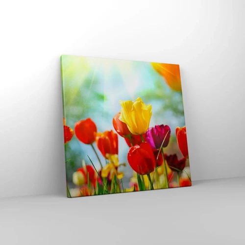 Canvas picture - All Colours of the Sun - 40x40 cm