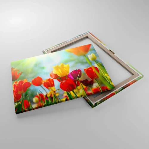 Canvas picture - All Colours of the Sun - 70x50 cm