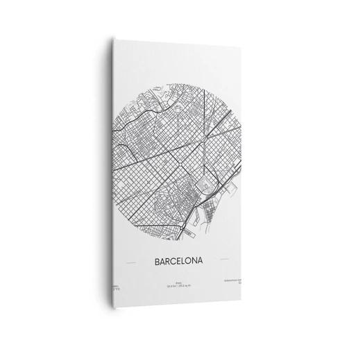 Canvas picture - Anatomy of Barcelona - 65x120 cm