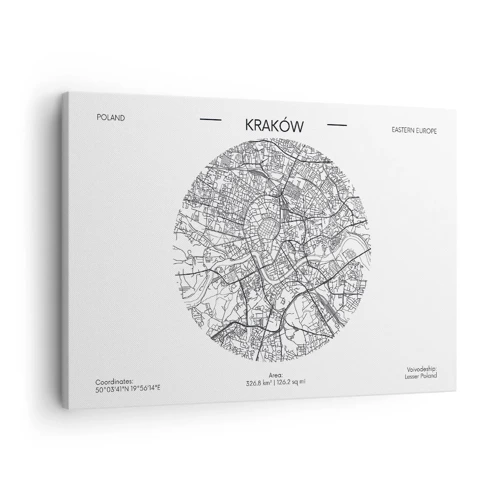 Canvas picture - Anatomy of Crocow - 70x50 cm