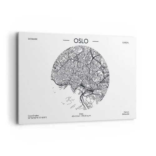 Canvas picture - Anatomy of Oslo - 120x80 cm