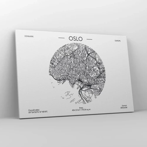 Canvas picture - Anatomy of Oslo - 120x80 cm