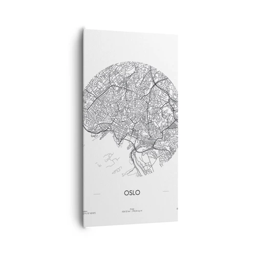 Canvas picture - Anatomy of Oslo - 65x120 cm