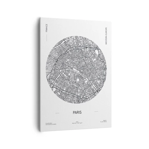 Canvas picture - Anatomy of Paris - 50x70 cm