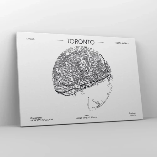 Canvas picture - Anatomy of Toronto - 120x80 cm