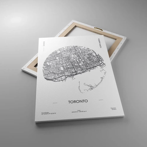 Canvas picture - Anatomy of Toronto - 50x70 cm