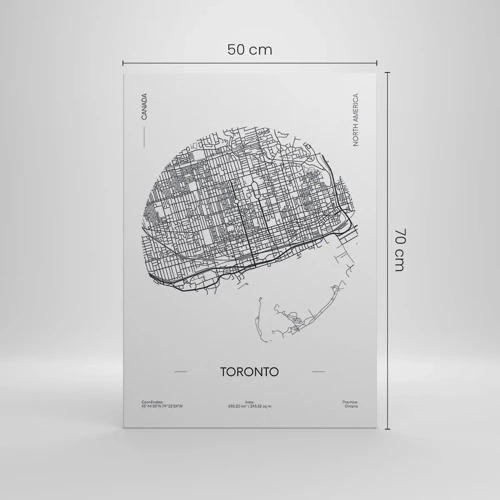 Canvas picture - Anatomy of Toronto - 50x70 cm