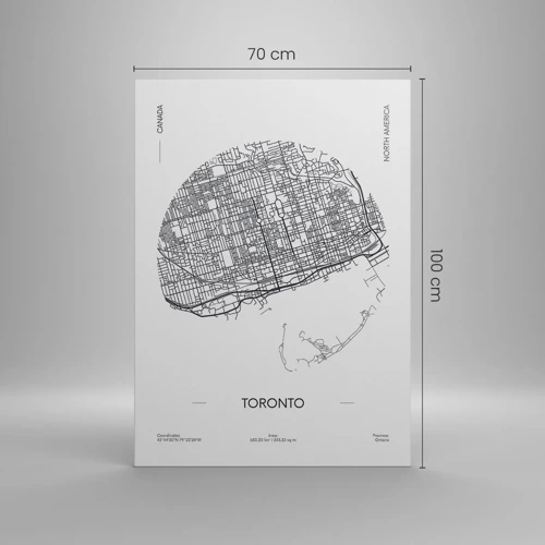 Canvas picture - Anatomy of Toronto - 70x100 cm