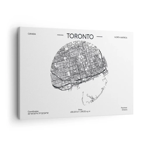 Canvas picture - Anatomy of Toronto - 70x50 cm