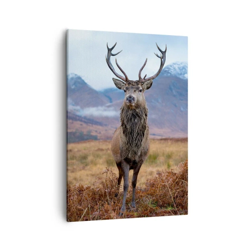 Canvas picture Arttor 50x70 cm - On Your Own Land - Deer, Animals, Scotland, Landscape, Nature, For living-room, For bedroom, White, Brown, Vertical, Canvas
, PA50x70-5185