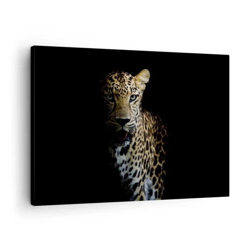 Canvas picture Arttor 70x50 cm - Dark Beauty - Animals, Leopard, Wild Cat, Africa, Predator, For living-room, For bedroom, White, Brown, Horizontal, Canvas
, AA70x50-4585