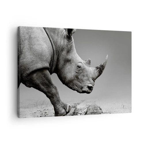 Canvas picture Arttor 70x50 cm - Uncontrolled Power - Rhinoceros, Animals, Africa, Nature, Black And White, For living-room, For bedroom, Black, Grey, Horizontal, Canvas
, AA70x50-4954