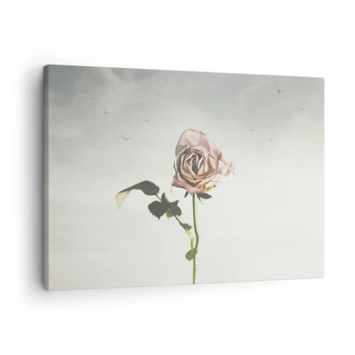 Canvas picture Arttor 70x50 cm - Welcoming of Spring - Rose, Flower, Art, Painting, Love, For living-room, For bedroom, Pink, Grey, Horizontal, Canvas
, AA70x50-4509