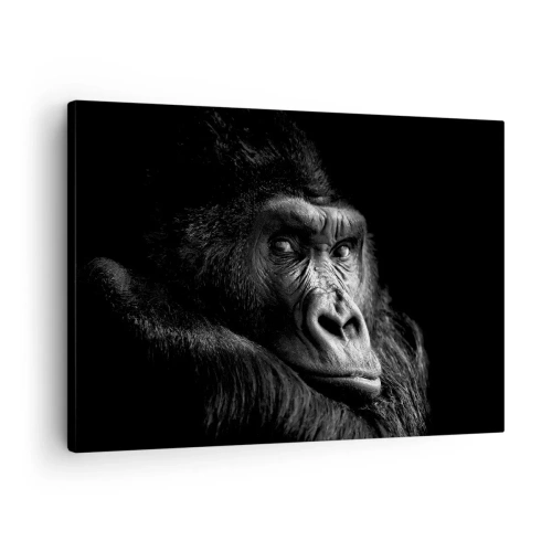Canvas picture Arttor 70x50 cm - What Are You Looking At? - Monkey, Gorilla, Animals, Black And White, Jungle, For living-room, For bedroom, White, Black, Horizontal, Canvas
, AA70x50-5007