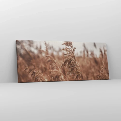 Canvas picture - Autumn Has Arrived in the Fields - 100x40 cm