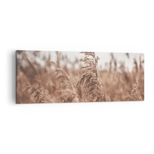 Canvas picture - Autumn Has Arrived in the Fields - 140x50 cm