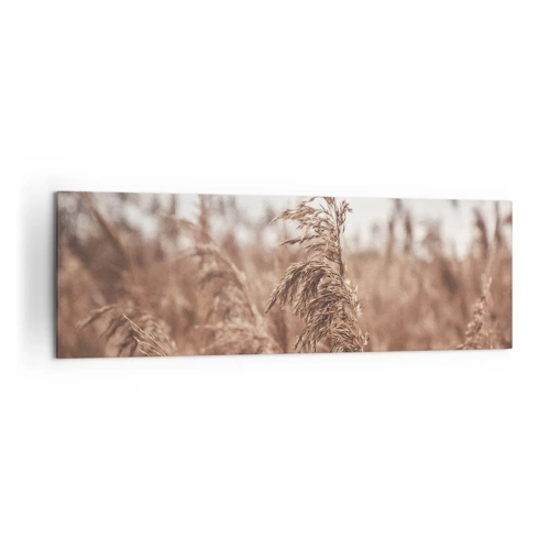 Canvas picture - Autumn Has Arrived in the Fields - 160x50 cm