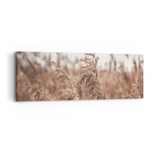 Canvas picture - Autumn Has Arrived in the Fields - 90x30 cm