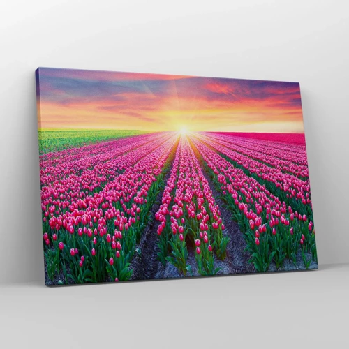 Canvas picture - Beauty Farm - 70x50 cm