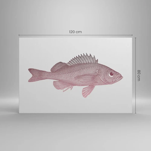 Canvas picture - Big-eyed Fish - 120x80 cm