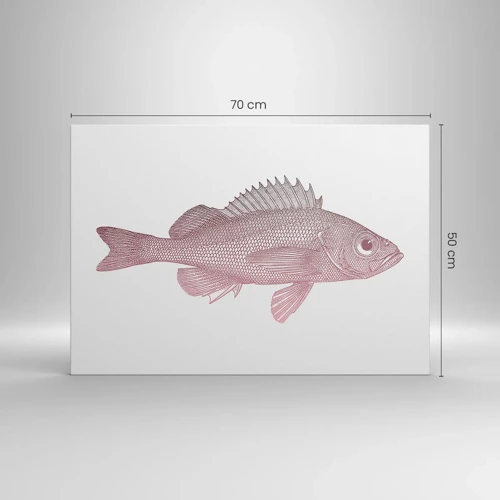 Canvas picture - Big-eyed Fish - 70x50 cm