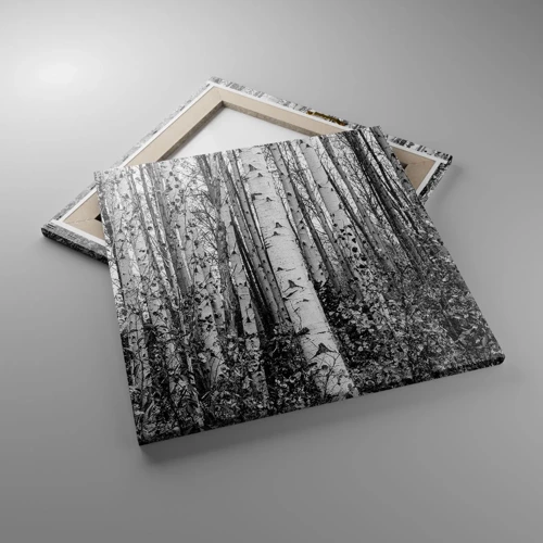 Canvas picture - Birch Colonnade - 50x50 cm