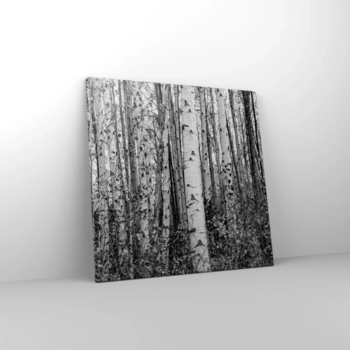 Canvas picture - Birch Colonnade - 50x50 cm