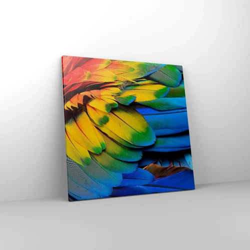 Canvas picture - Bird Of Paradise - 60x60 cm