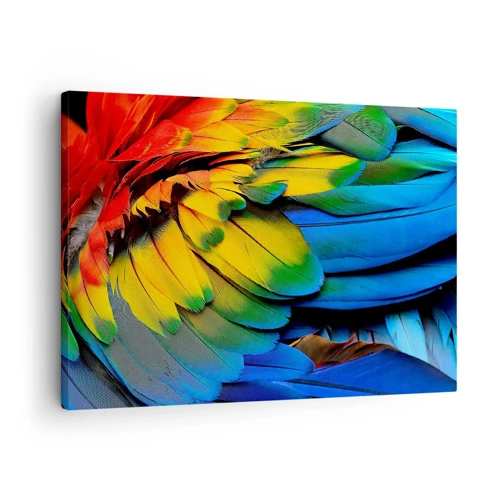 Canvas picture - Bird Of Paradise - 70x50 cm