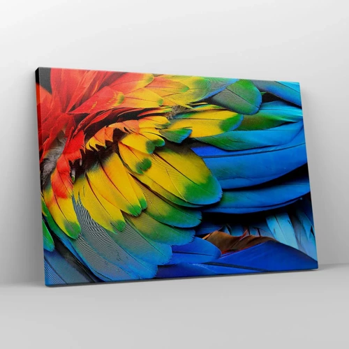 Canvas picture - Bird Of Paradise - 70x50 cm
