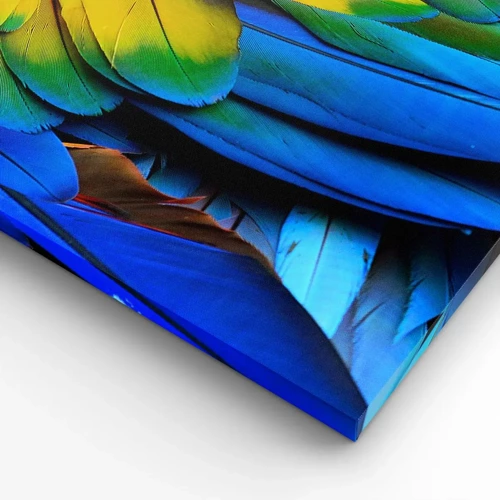 Canvas picture - Bird Of Paradise - 90x30 cm