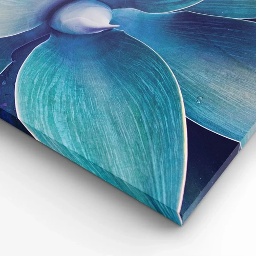 Canvas picture - Blue from the Sky - 100x40 cm