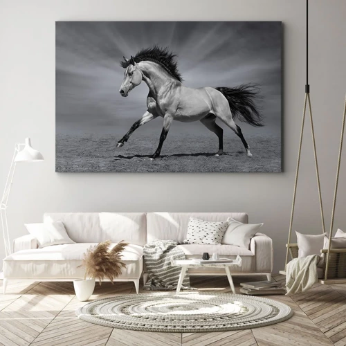 Canvas picture - Born to Amaze - 70x50 cm