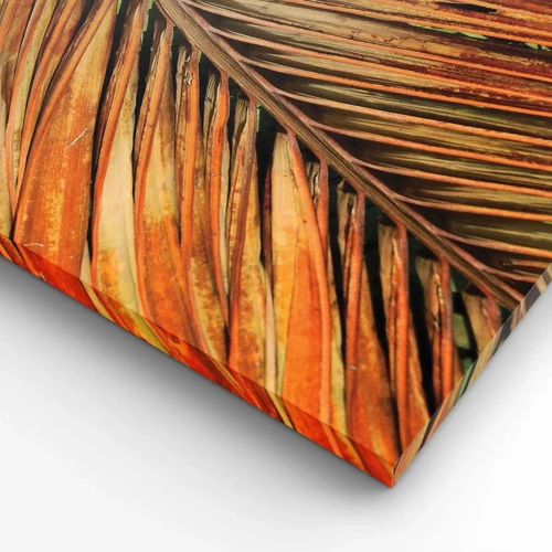 Canvas picture - Coconut Gold - 45x80 cm