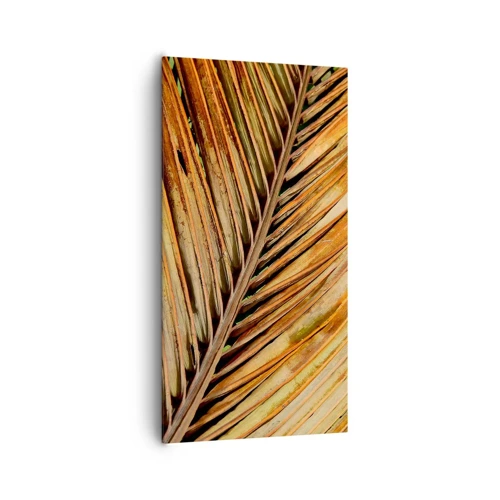 Canvas picture - Coconut Gold - 65x120 cm