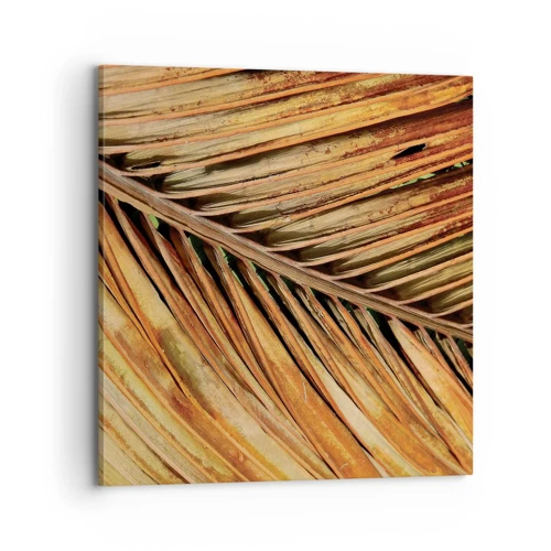 Canvas picture - Coconut Gold - 70x70 cm