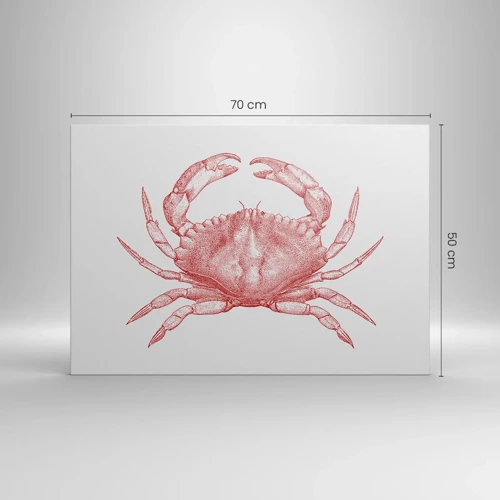 Canvas picture - Crab Like No Other - 70x50 cm